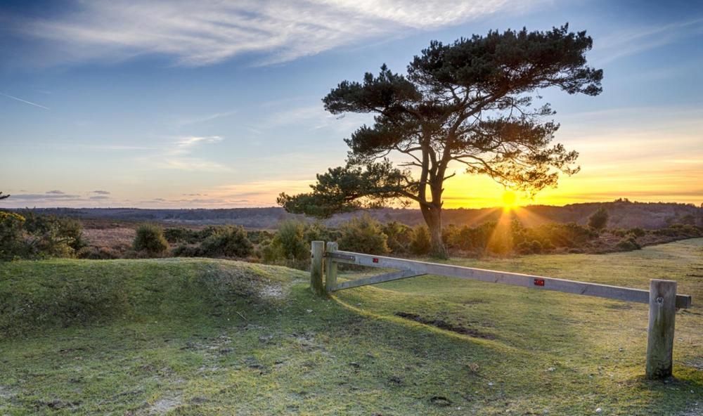 The Knightwood Oak A Luxury King Size En-Suite Space - Lymington New Forest With Totally Private Entrance - Key Box Entry - Free Parking & Private Outdoor Seating Area - Town ,Shops , Pubs & Solent Way Walking Distance & Complimentary Breakfast Items Екстер'єр фото